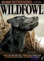 Wildfowl - Vol. 41, Issue 3, June-July 2026.webp