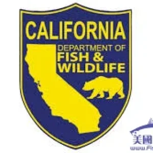 CA FISHING WILDLIFE.jpg
